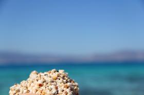 Relax on the beach, or take a long walk along the endless beach and marvel at the millions of colorful small shells.