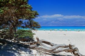 Τα σκήπτρα της ωραιότερης παραλίας στη νήσο Χρυσή έχει η βόρεια παραλία της Μπελεγρίνας ή Χρυσής Ακτής, όπου συγκεντρώνεται και το μεγαλύτερο ποσοστό των επισκεπτών του νησιού.